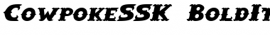 Download CowpokeSSK BoldItalic Font Title Preview