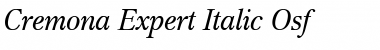 Download Cremona Expert BQ Italic Font Title Preview