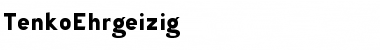 Download Tenko Regular Font Title Preview