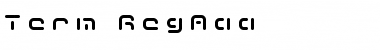 Download Term RegAaa Font Title Preview