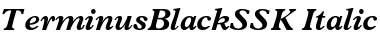 Download TerminusBlackSSK Italic Font Title Preview