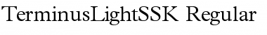 Download TerminusLightSSK Regular Font Title Preview