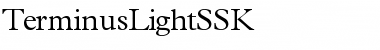 Download TerminusLightSSK Regular Font Title Preview