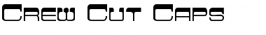 Download Crew Cut Caps Regular Font Title Preview