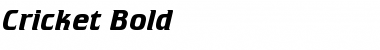 Download Cricket Bold Font Title Preview
