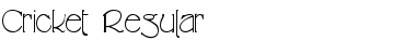 Download Cricket Regular Font Title Preview