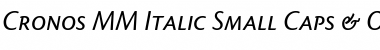 Download Cronos MM Regular Font Title Preview