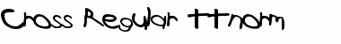 Download Cross Regular Font Title Preview