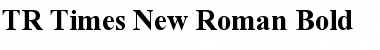 Download TR Times New Roman Bold Font Title Preview