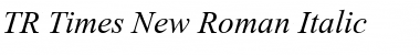 Download TR Times New Roman Italic Font Title Preview