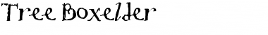 Download Tree Boxelder Regular Font