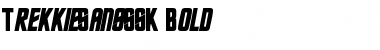 Download TrekkieSansSSK Bold Font