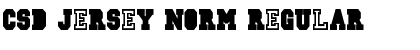 Download CSD-JERSEY-Norm Regular Font Title Preview