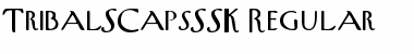 Download TribalSCapsSSK Regular Font