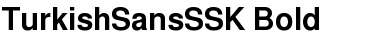 Download TurkishSansSSK Font