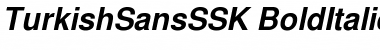 Download TurkishSansSSK Font