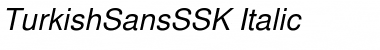 Download TurkishSansSSK Font