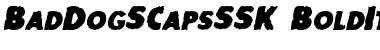 Download BadDogSCapsSSK BoldItalic Font Title Preview