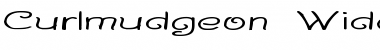 Download Curlmudgeon Wideside Regular Font Title Preview