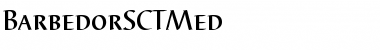 Download BarbedorSCTMed Regular Font Title Preview