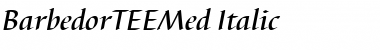 Download BarbedorTEEMed Italic Font Title Preview