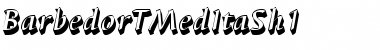 Download BarbedorTMedItaSh1 Regular Font Title Preview