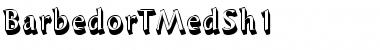 Download BarbedorTMedSh1 Regular Font Title Preview