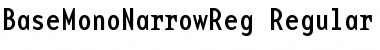 Download BaseMonoNarrowReg Regular Font Title Preview