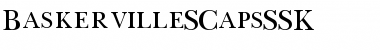 Download BaskervilleSCapsSSK Regular Font Title Preview