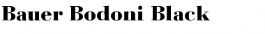 Download BauerBodoni LT Black Regular Font Title Preview