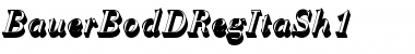 Download BauerBodDRegItaSh1 Regular Font Title Preview