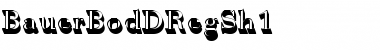 Download BauerBodDRegSh1 Regular Font Title Preview