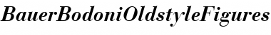 Download BauerBodoniOldstyleFigures BoldItalic Font Title Preview