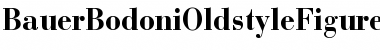 Download BauerBodoniOldstyleFigures Bold Font Title Preview