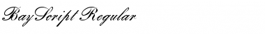Download BayScript Regular Font Title Preview