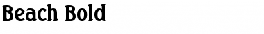 Download Beach Bold Font Title Preview