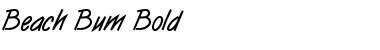 Download Beach Bum Bold Font Title Preview