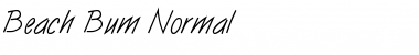 Download Beach Bum Normal Font Title Preview