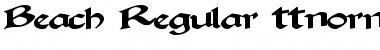 Download Beach Regular Font Title Preview