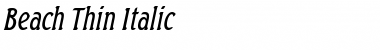 Download Beach Thin Italic Font Title Preview