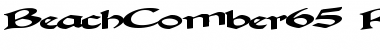 Download BeachComber65 Regular Font Title Preview