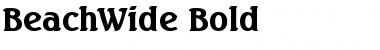 Download BeachWide Bold Font Title Preview