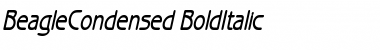 Download BeagleCondensed BoldItalic Font Title Preview