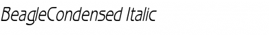 Download BeagleCondensed Italic Font Title Preview