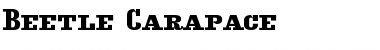 Download Beetle Carapace Font Title Preview