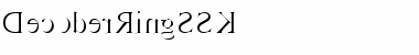 Download DecoderRingSSK Regular Font Title Preview