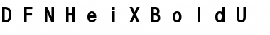 Download DFNHeiXBoldU-B5 Regular Font Title Preview