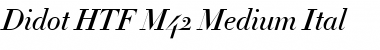 Download Didot Medium Italic Font Title Preview