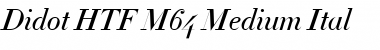 Download Didot Medium Italic Font Title Preview