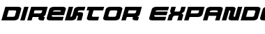 Download Direktor Expanded Italic Italic Font Title Preview